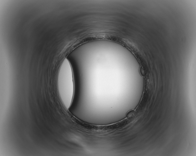 X0000087570739200704270943