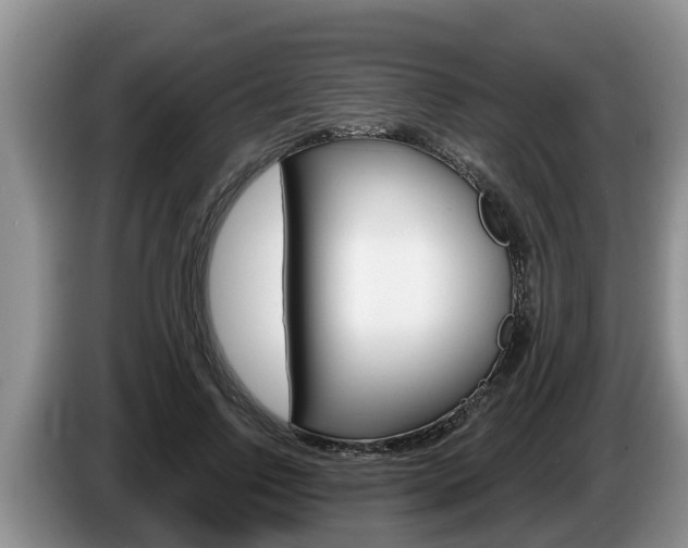 X0000087570742200704270943