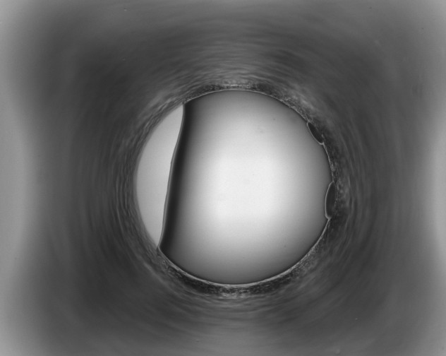 X0000087570744200704270943