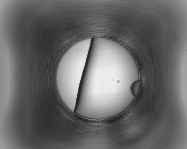 X0000087570745200704270943
