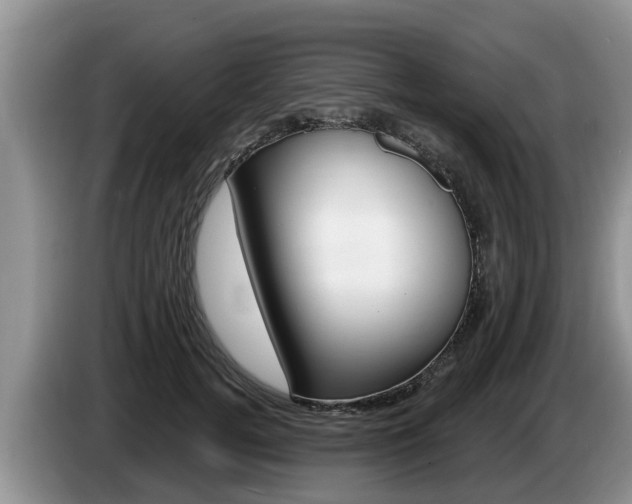 X0000087570752200704270943
