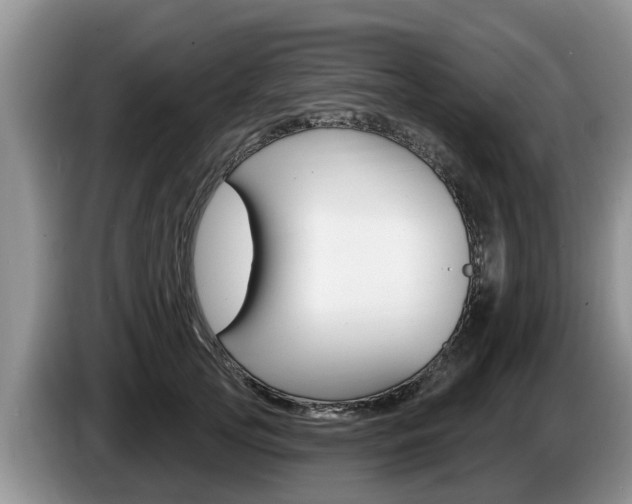 X0000087570753200704270943