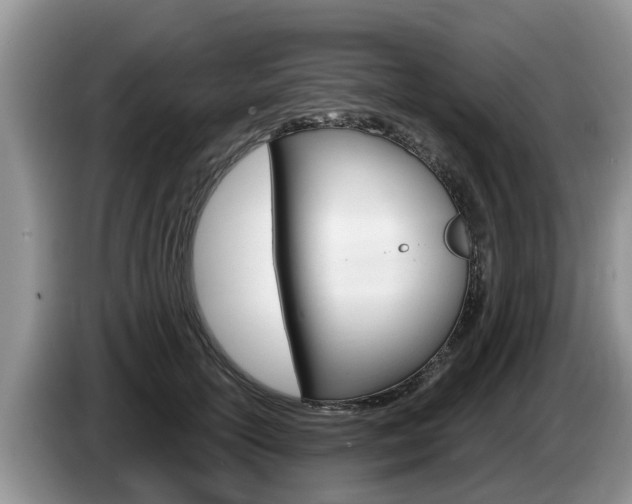 X0000087570754200704270943