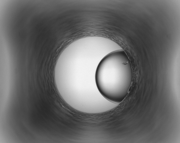 X0000087570756200704270943