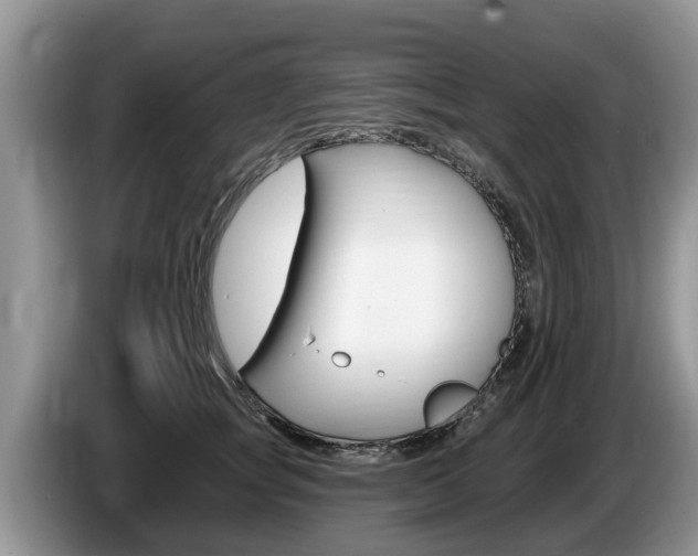 X0000087570757200704270943