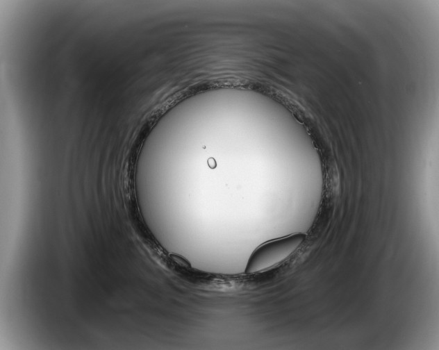 X0000087570764200704270943