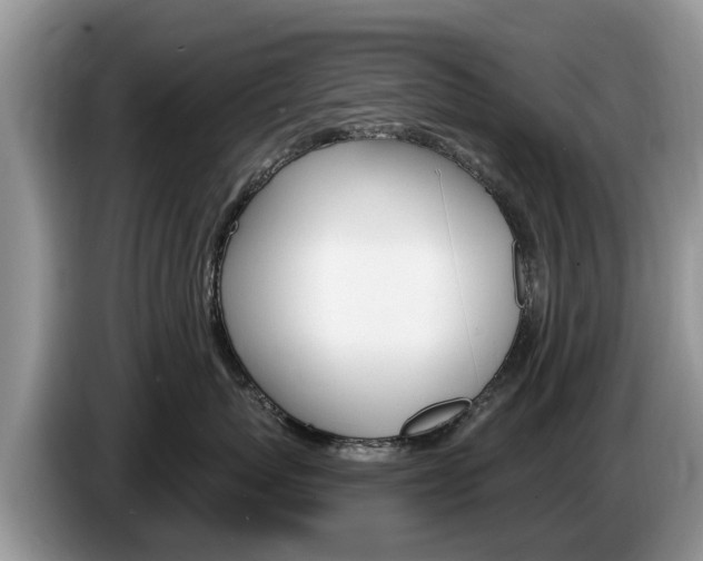 X0000087570767200704270943