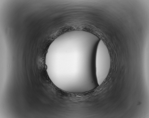 X0000087570772200704270943