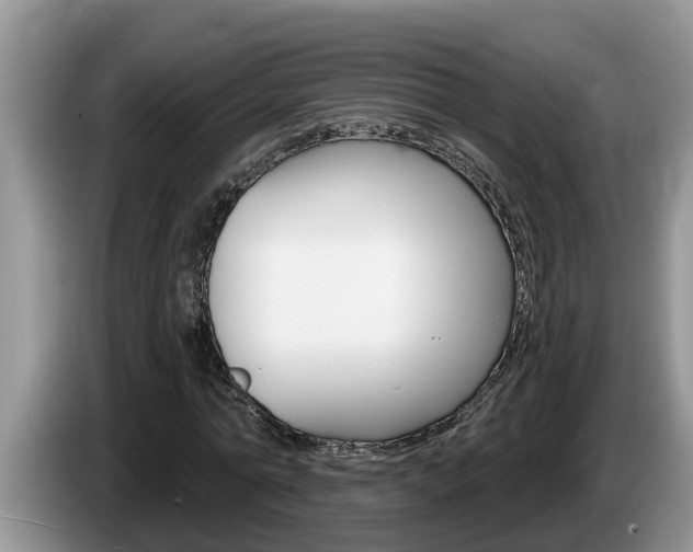 X0000087570774200704270943