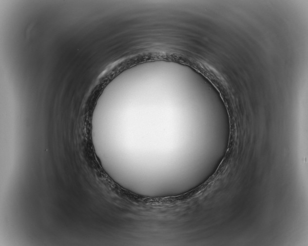 X0000087570776200704270943