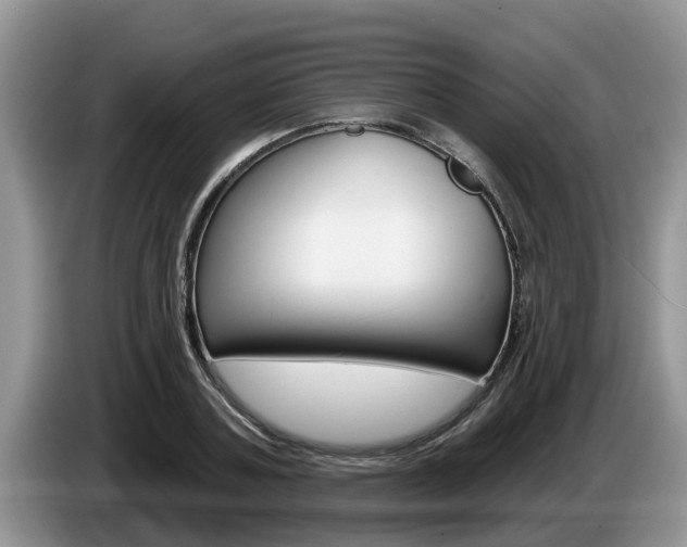 X0000087570787200704270943