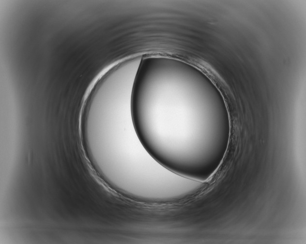 X0000087570788200704270943