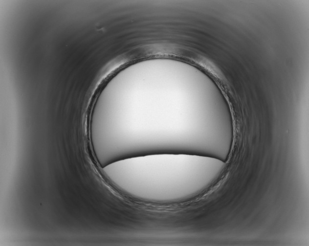 X0000087570790200704270943