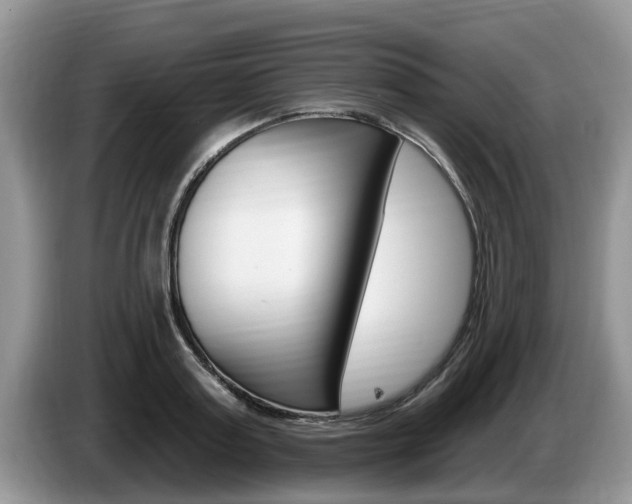 X0000087570795200704270942