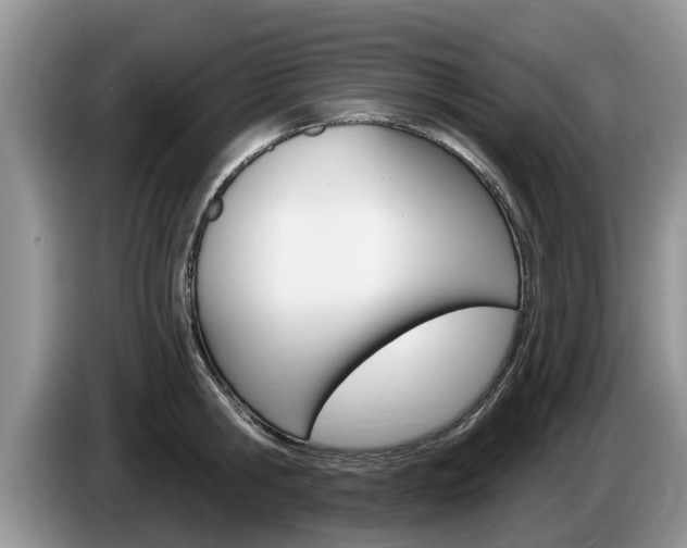 X0000087570806200704270942