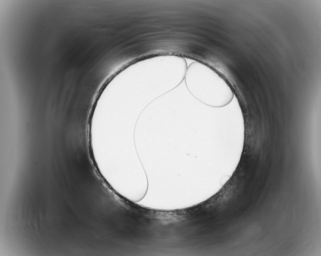 X0000087570807200704270942