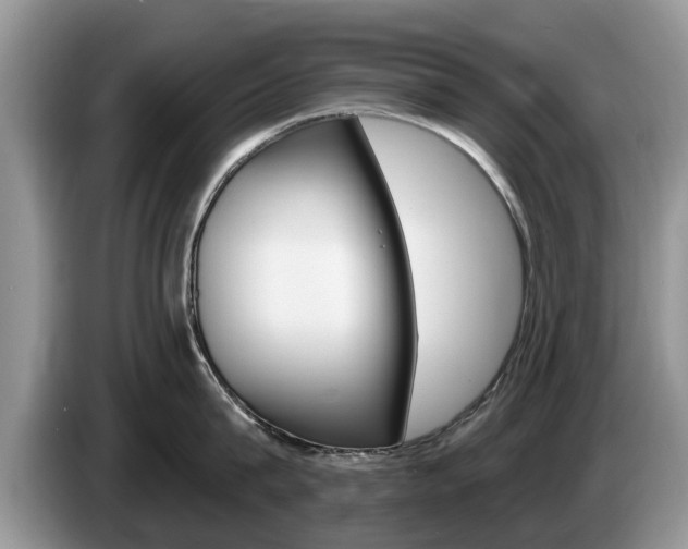 X0000087570815200704270942