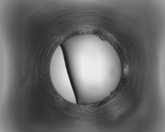 X0000087570819200704270942