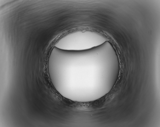 X0000087570823200704270942