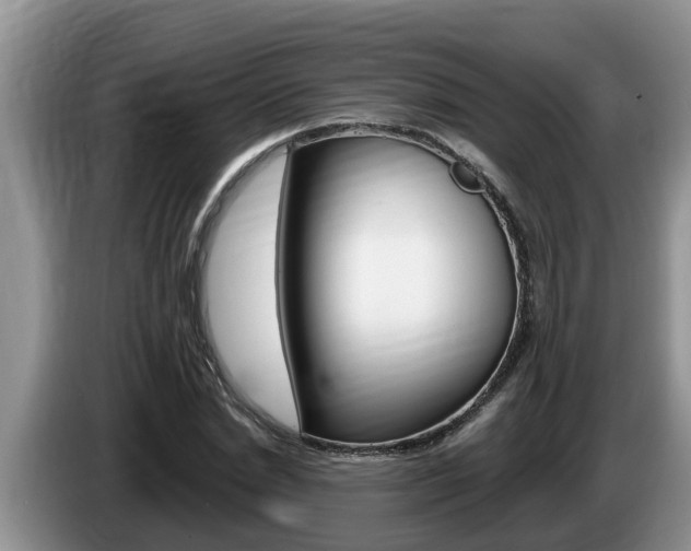 X0000087570830200704270942