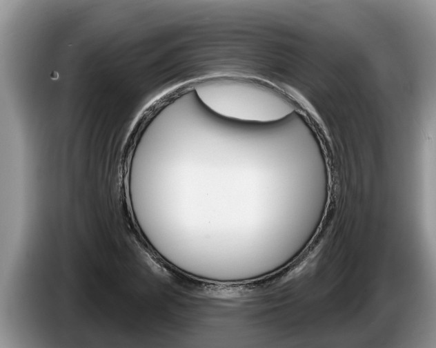 X0000087570831200704270942