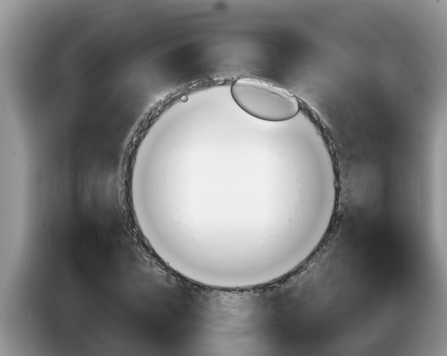 X0000087570832200704270942