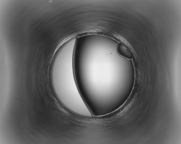 X0000087570834200704270942