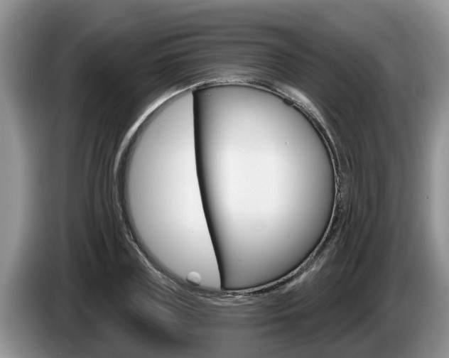 X0000087570835200704270942
