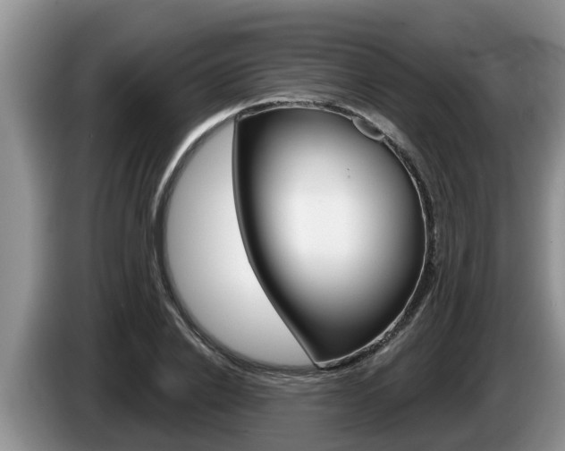 X0000087570838200704270942