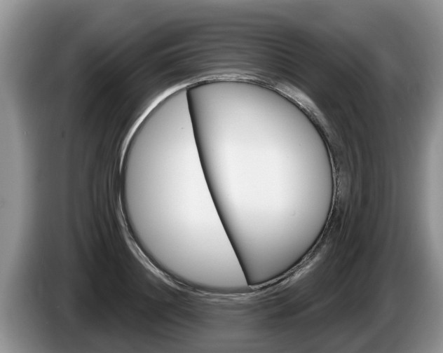 X0000087570844200704270942