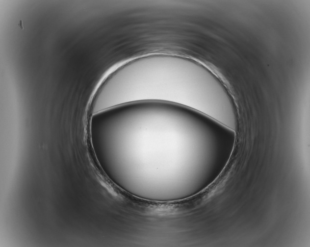X0000087570846200704270942