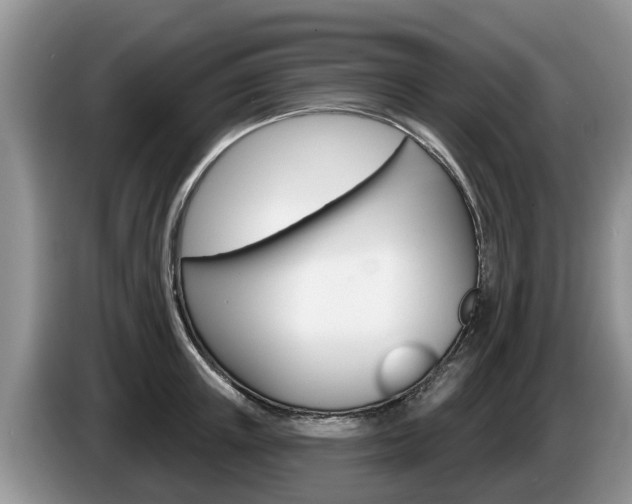 X0000087570851200704270942