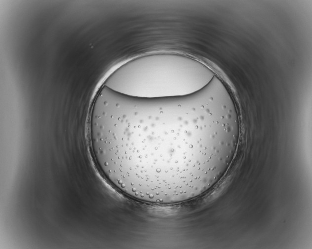 X0000087570855200704270942