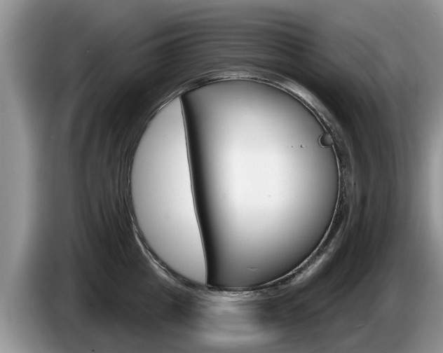 X0000087570857200704270942
