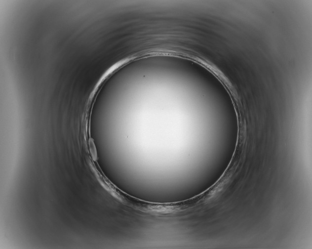 X0000087570862200704270942