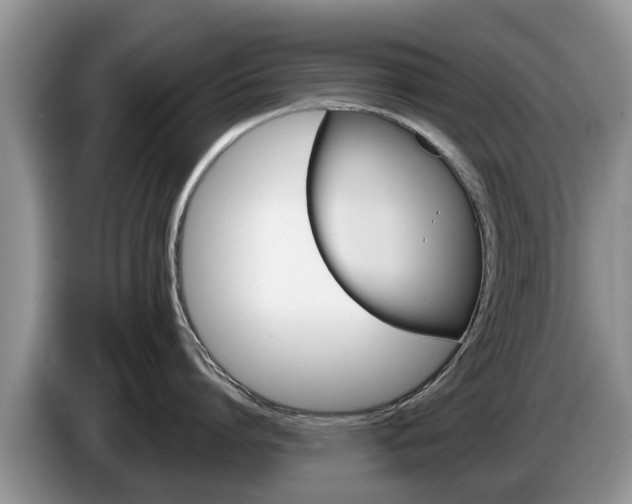 X0000087570864200704270942