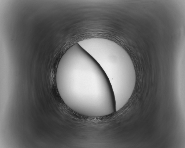 X0000087570866200704270942