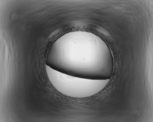 X0000087570869200704270942