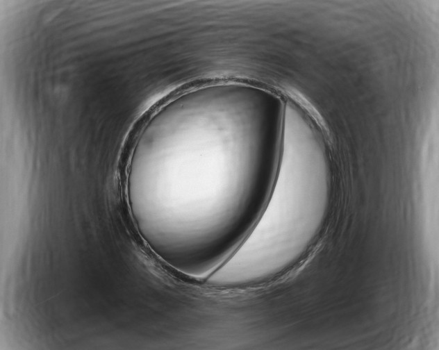 X0000087570876200704270942