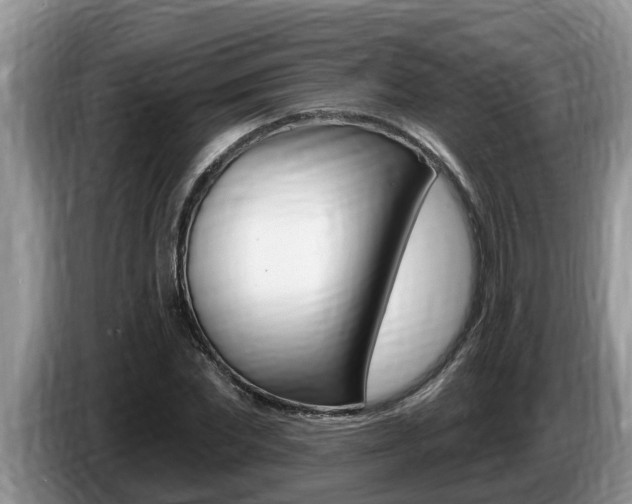 X0000087570877200704270942
