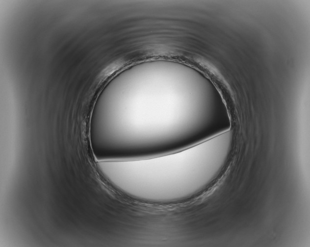 X0000087570881200704270942