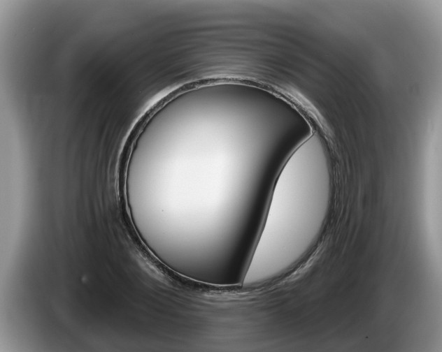 X0000087570884200704270941
