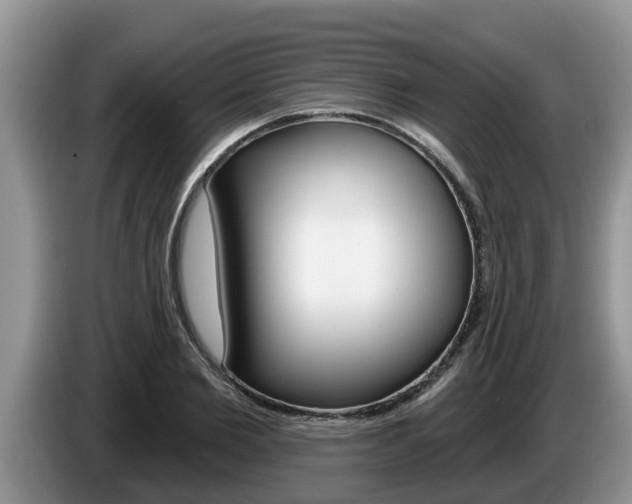 X0000087570885200704270941