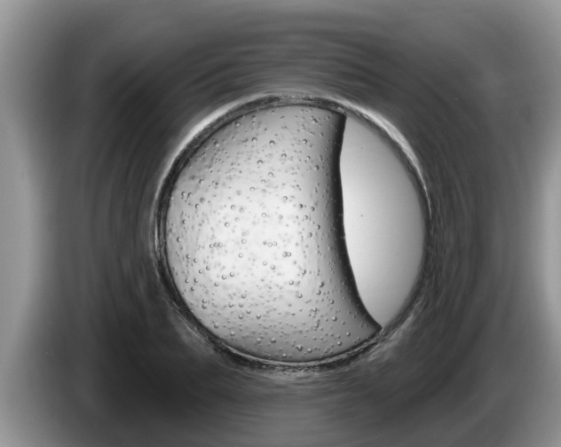 X0000087570887200704270941