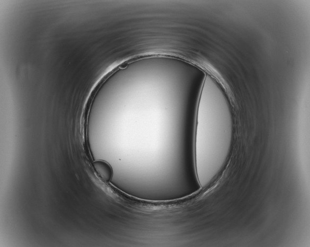 X0000087570892200704270941