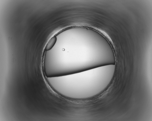 X0000087570895200704270941