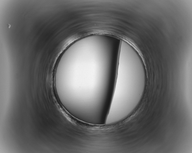 X0000087570898200704270941