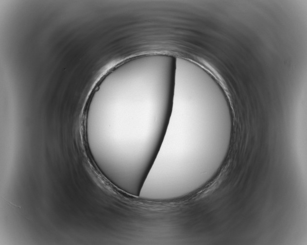 X0000087570899200704270941