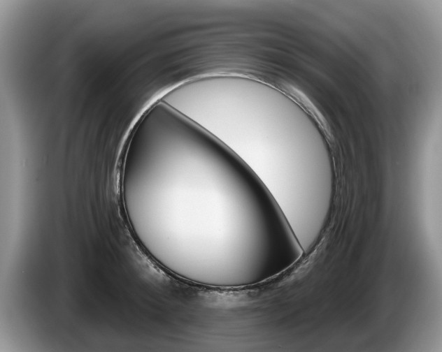 X0000087570900200704270941