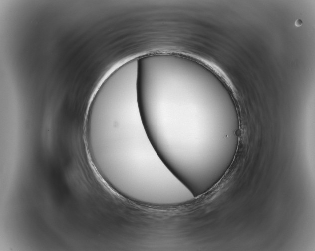 X0000087570903200704270941